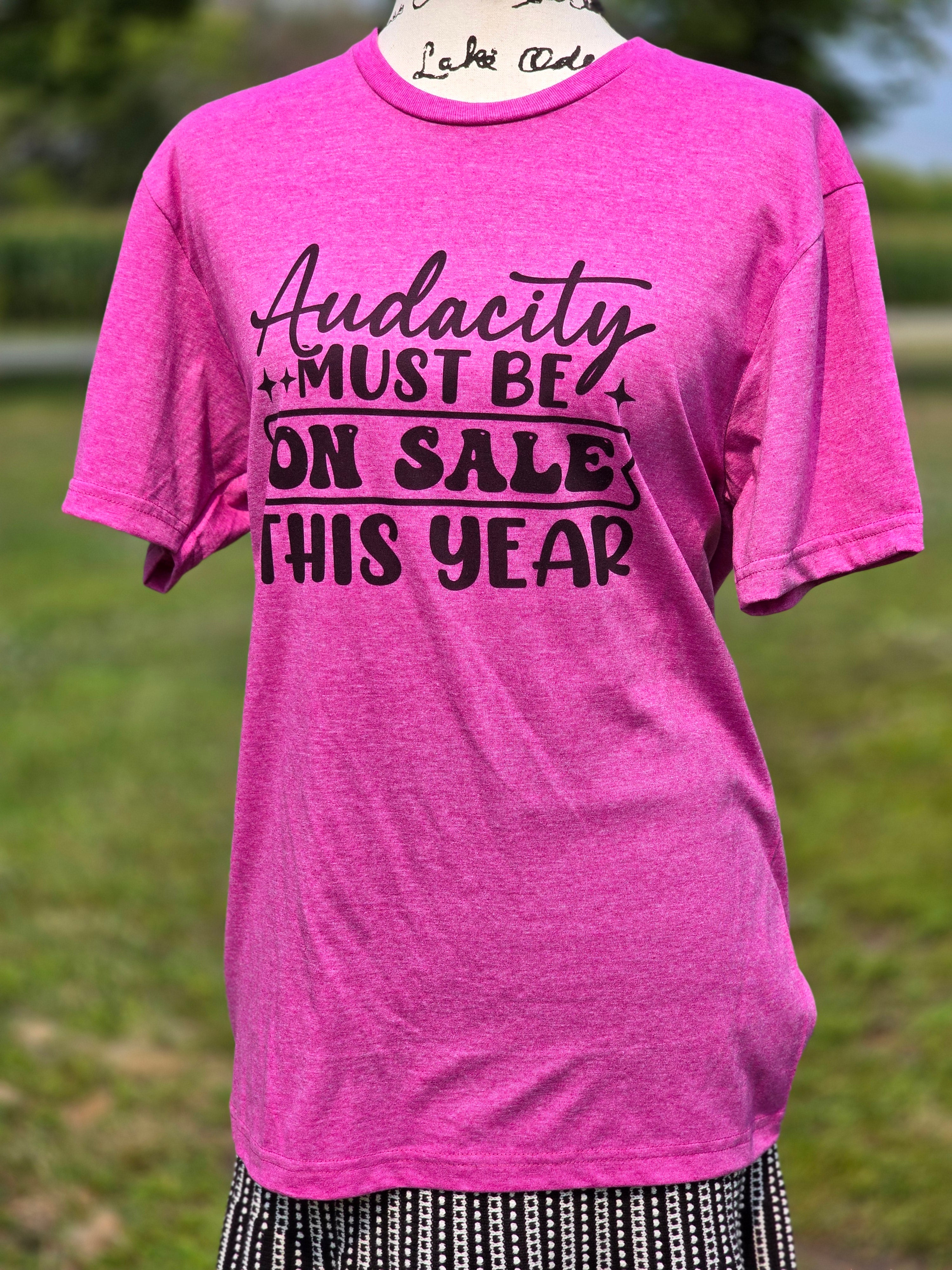 Audacity must be on sale this year