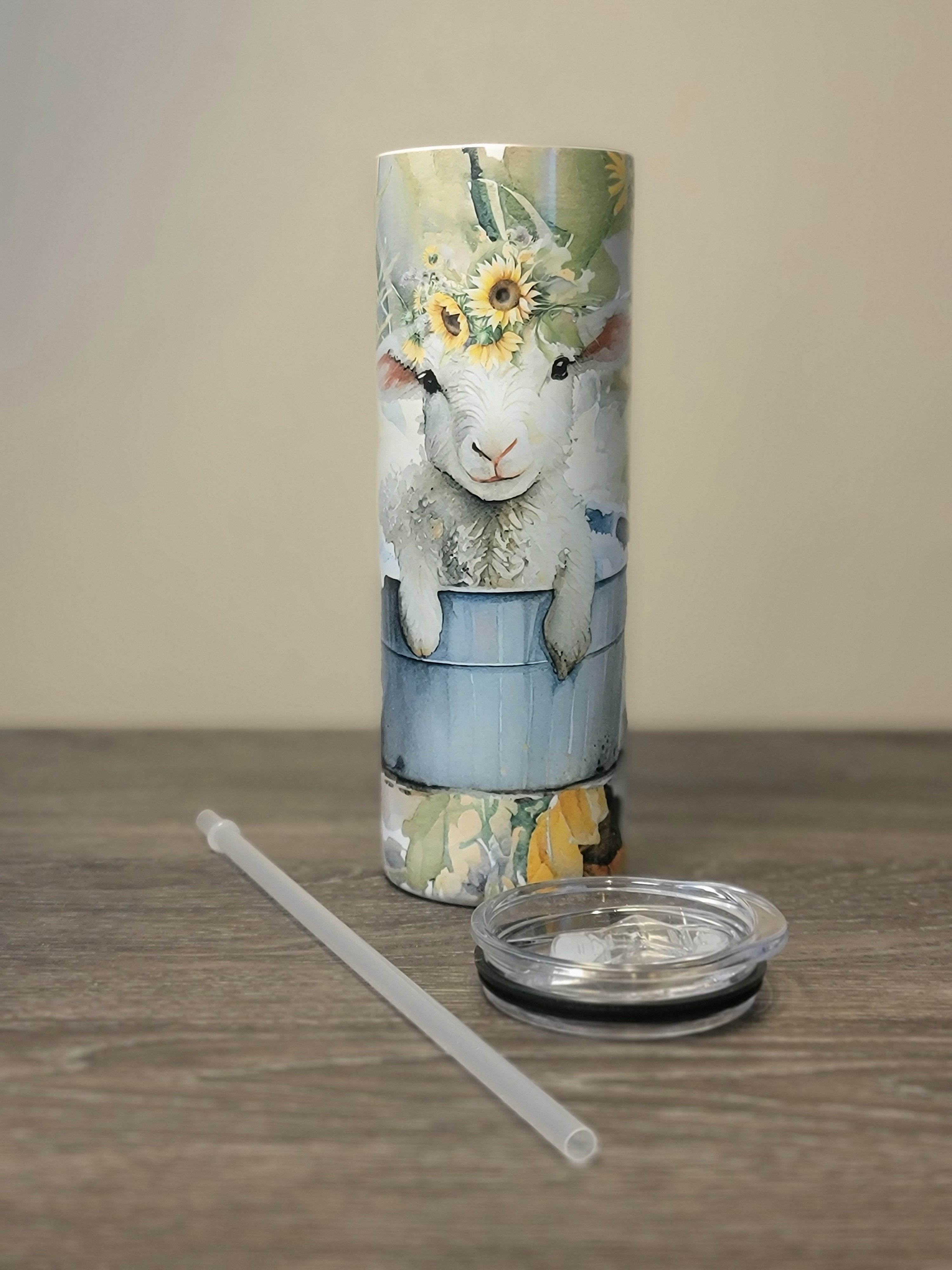 Cute lamb in a tub